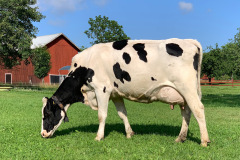 13_norrtalje190809_IMG_4559_1920x1080